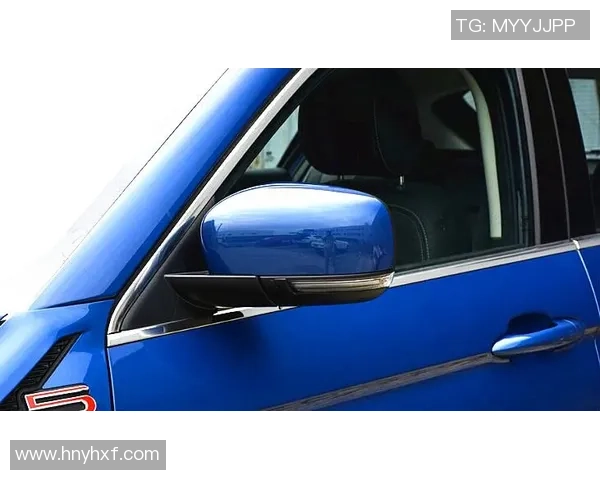 武汉排球队在洲际杯积分榜上以65分稳居第一名展现强劲实力