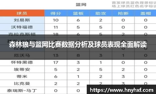 森林狼与篮网比赛数据分析及球员表现全面解读