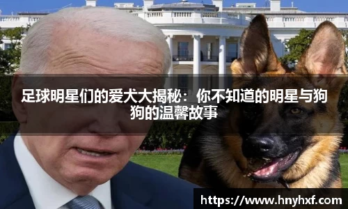 足球明星们的爱犬大揭秘：你不知道的明星与狗狗的温馨故事